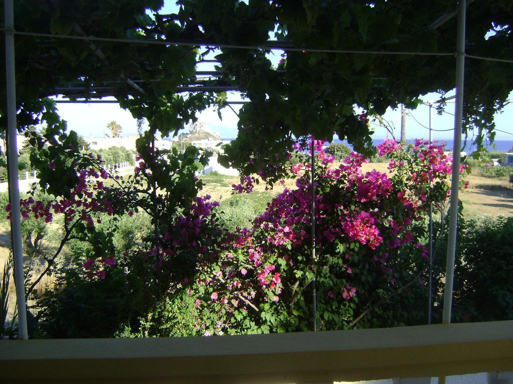קפלוס Panormitis Studios חדר תמונה